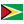 Guyana flag